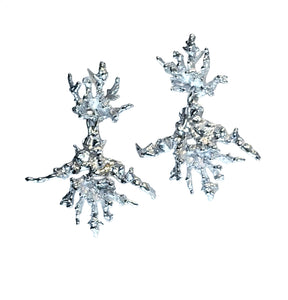 Silver Reef Earrings