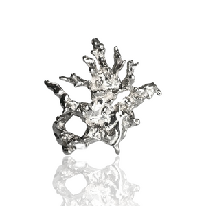 Silver Reef Ring